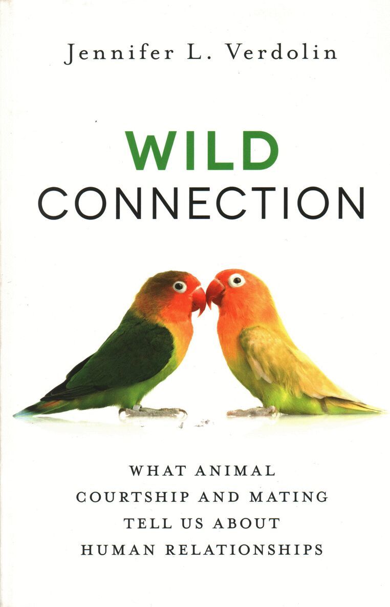 Jennifer L. Verdolin - Wild Connection, Häftad. Tillgänglighet: Lägg i varukorg