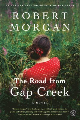 Road from Gap Creek