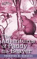 Adventures of Paddy the Beaver