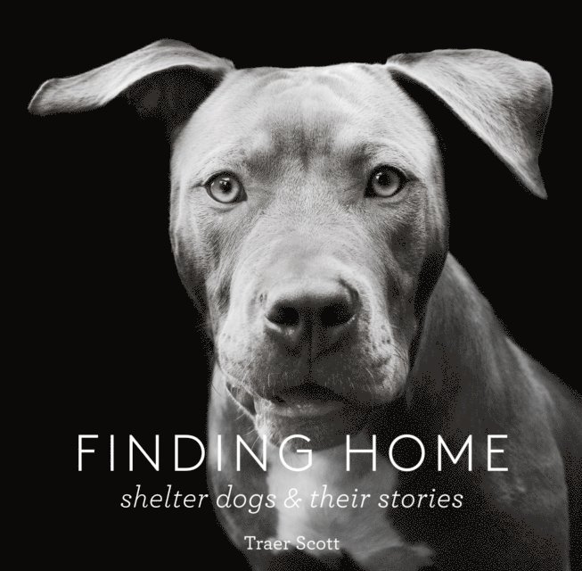 Traer Scott - Finding Home, E-bok