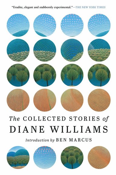 Collected Stories of Diane Williams by Diane Williams
