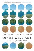 The Collected Stories Of Diane Williams
