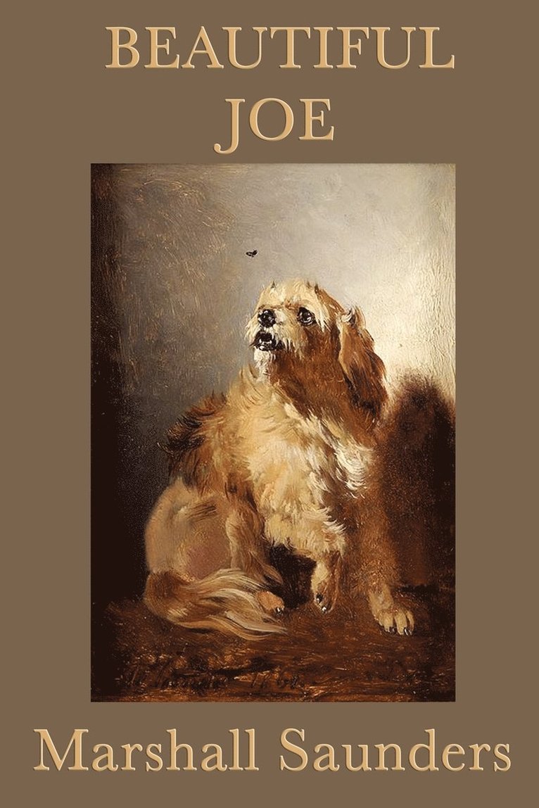 Marshall Saunders - Beautiful Joe, Häftad
