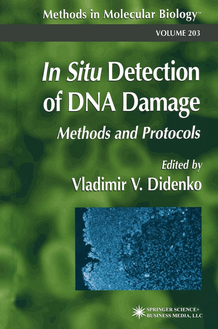 Vladimir V. Didenko - In Situ Detection of DNA Damage, Häftad