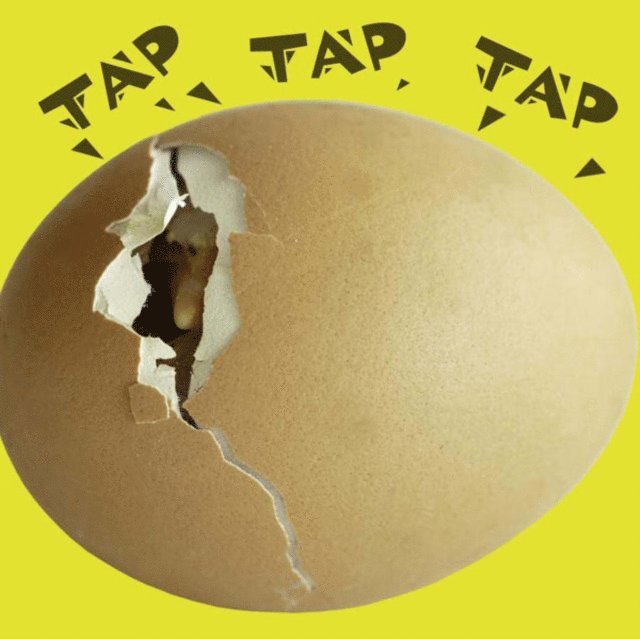 Meg Greve - Tap Tap Tap, E-bok