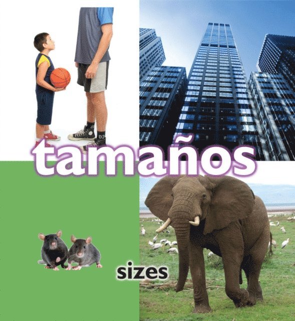 Tamanos