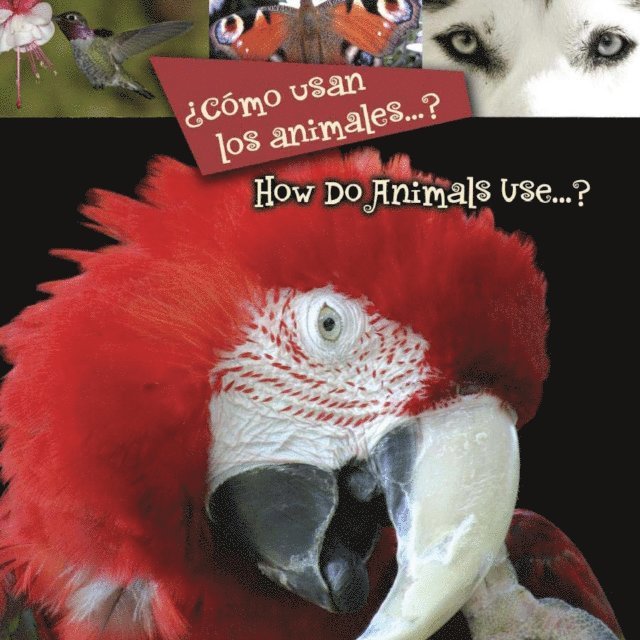 Como usan los animales...?