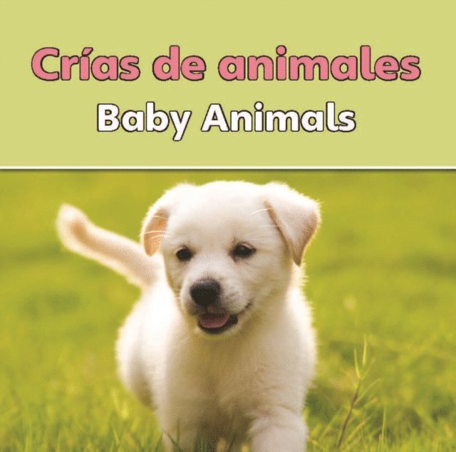 Rourke Educational Media - Crias de animales, E-bok. Tillgänglighet: Lägg i varukorg