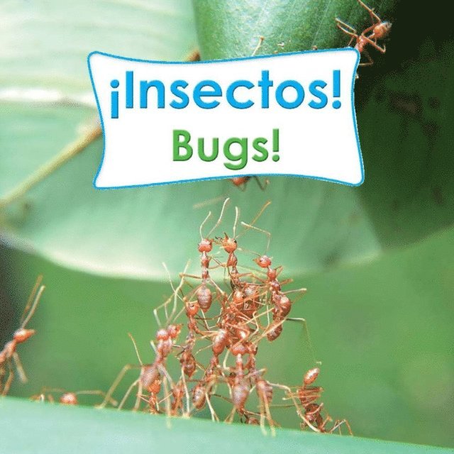 Rourke Educational Media - Insectos!, E-bok. Tillgänglighet: Lägg i varukorg