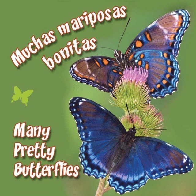 Rourke Educational Media - Muchas mariposas bonitas, E-bok. Tillgänglighet: Lägg i varukorg