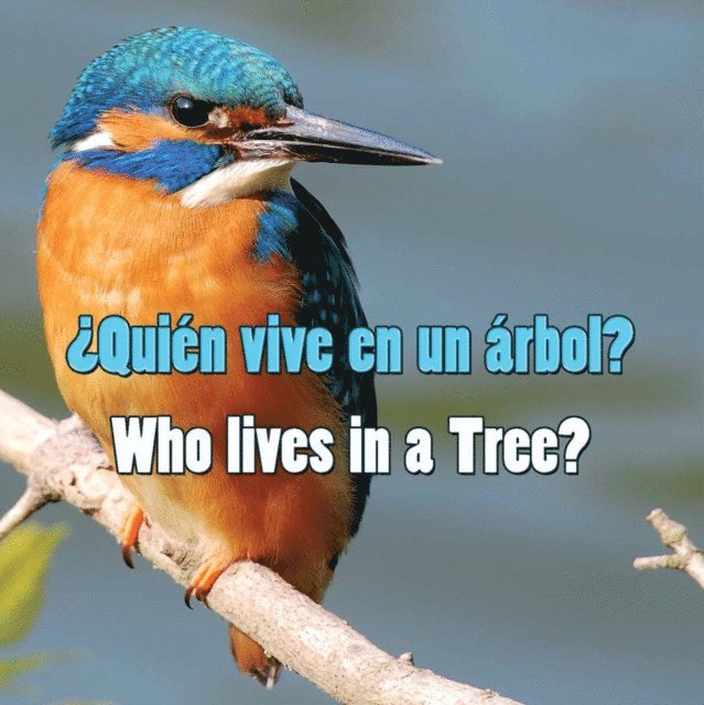 Rourke Educational Media - Quien vive en un arbol?, E-bok. Tillgänglighet: Lägg i varukorg
