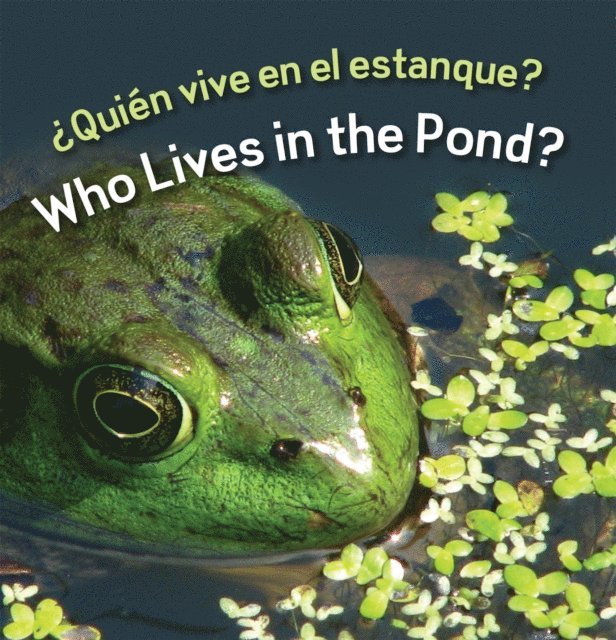 Rourke Educational Media - Quien vive en el estanque?, E-bok. Tillgänglighet: Lägg i varukorg