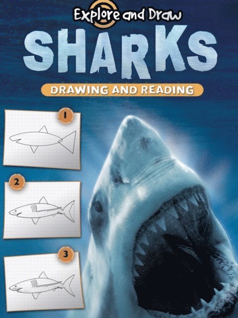 Gare Thompson - Sharks, Drawing and Reading, E-bok