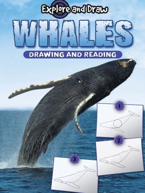 Gare Thompson - Whales, Drawing and Reading, E-bok
