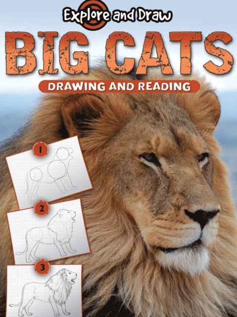 Monica Halpern - Big Cats, Drawing and Reading, E-bok