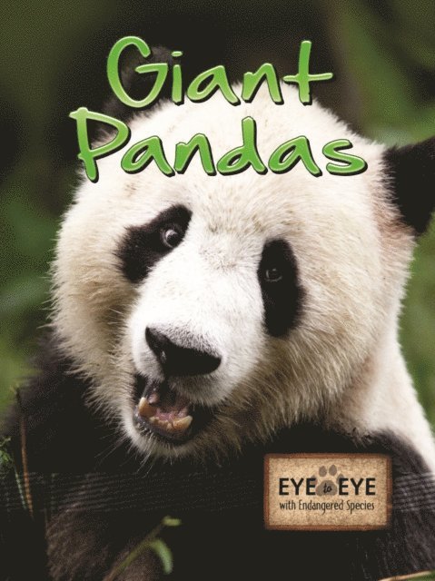 Tom Greve - Giant Pandas, E-bok