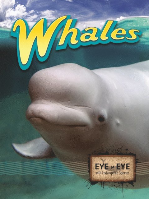 Tom Greve - Whales, E-bok