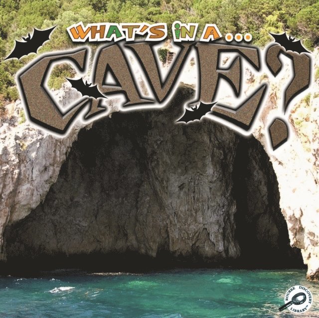 Tracy Maurer - What's in a... Cave?, E-bok