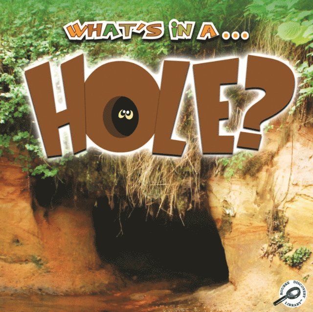 Tracy Maurer - What's in a... Hole?, E-bok