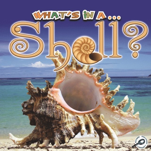 Tracy Maurer - What's in a... Shell?, E-bok
