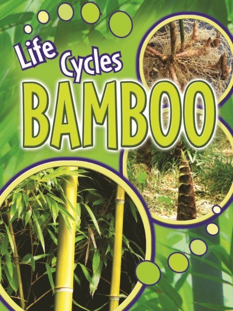 Julie Lundgren - Bamboo, E-bok. Tillgänglighet: Lägg i varukorg