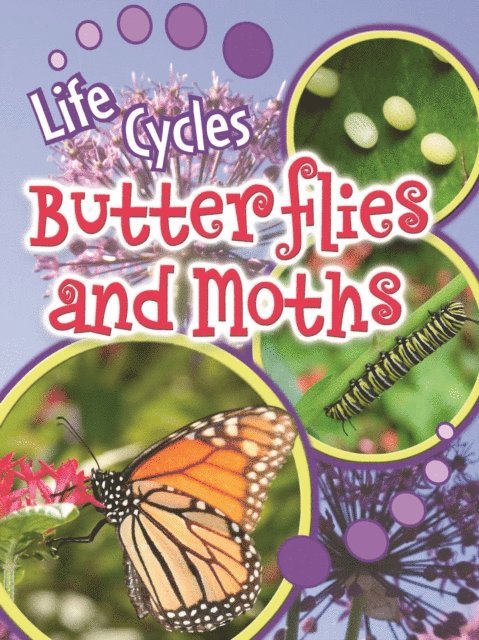 Julie Lundgren - Butterflies and Moths, E-bok. Tillgänglighet: Lägg i varukorg