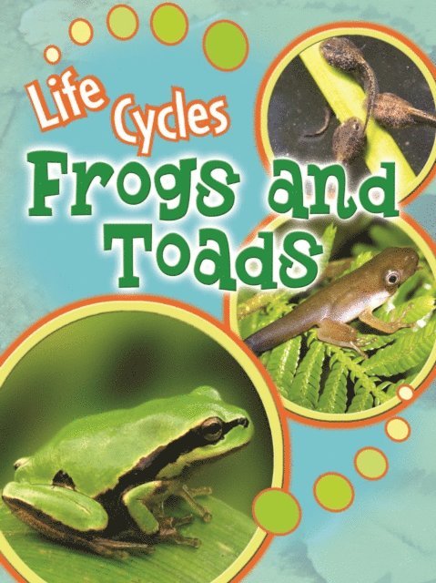 Julie Lundgren - Frogs and Toads, E-bok. Tillgänglighet: Lägg i varukorg