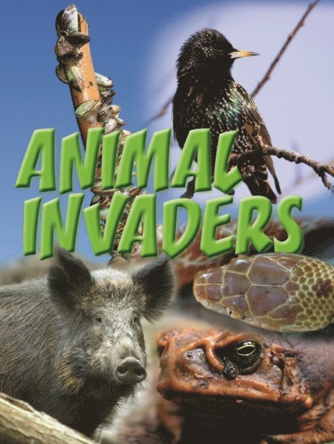 Amanda Doering Tourville - Animal Invaders, E-bok