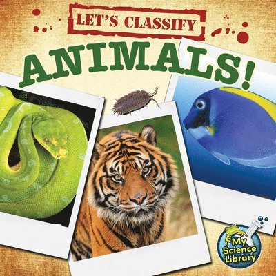 Kelli Hicks - Hicks, K: Let's Classify Animals!, Häftad
