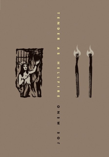 Joe Meno - Tender As Hellfire, E-bok