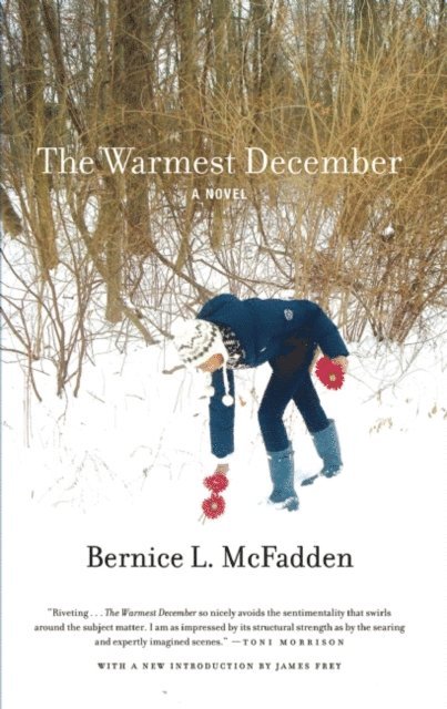 Bernice L. McFadden - Warmest December, E-bok