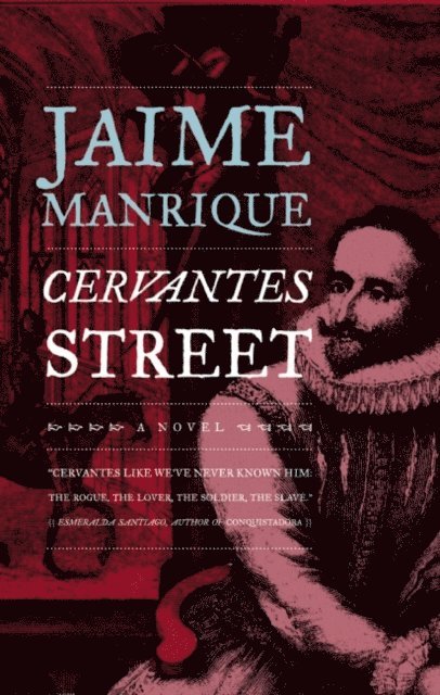 Jaime Manrique - Cervantes Street, E-bok