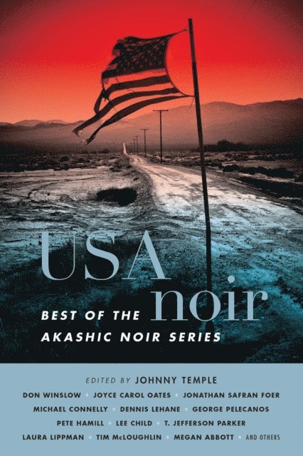 Susan Straight, George Pelecanos, Dennis Lehane, Johnny Temple - USA Noir, E-bok