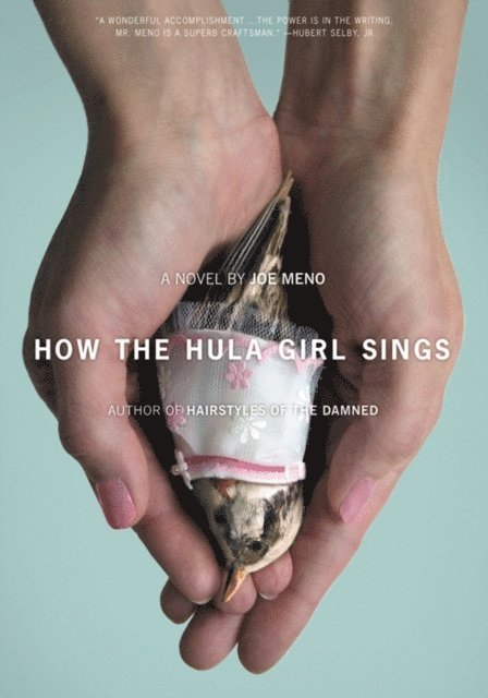 Joe Meno - How the Hula Girl Sings, E-bok