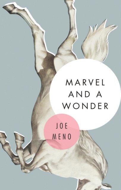 Joe Meno - Marvel and a Wonder, E-bok