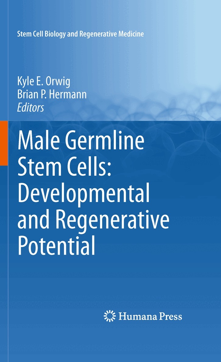 Kyle E. Orwig, Brian P. Hermann - Male Germline Stem Cells: Developmental and Regenerative Potential, Häftad. Tillgänglighet: Lägg i varukorg