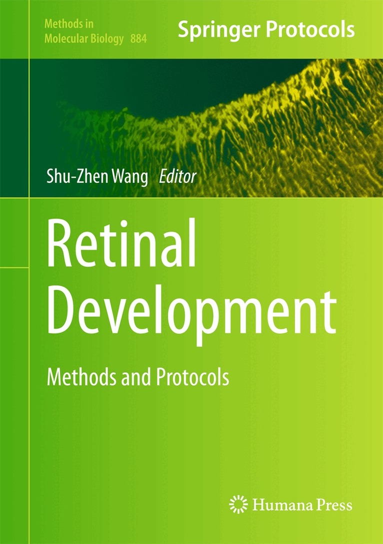 Shu-Zhen Wang - Retinal Development, Inbunden