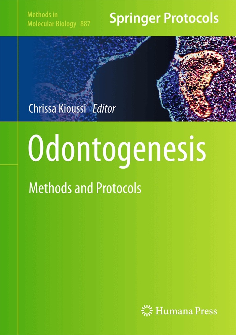 Chrissa Kioussi - Odontogenesis, Inbunden