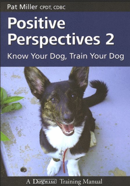 Pat  Miller - POSITIVE PERSPECTIVES 2, E-bok
