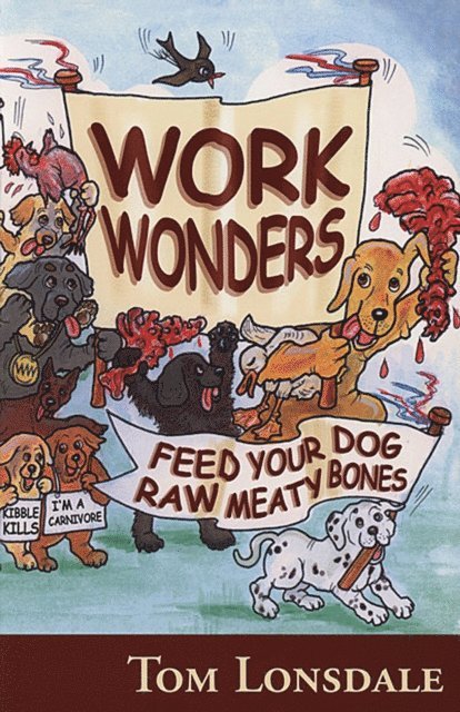 Tom Lonsdale - WORK WONDERS, E-bok