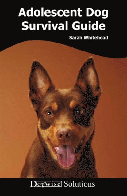 Sarah  Whitehead - ADOLESCENT DOG SURVIVAL GUIDE, E-bok