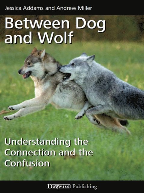Alxe Noden - Showing Kunga: From Pet Owner to Dog Show Junkie, Häftad. Tillgänglighet: Lägg i varukorg