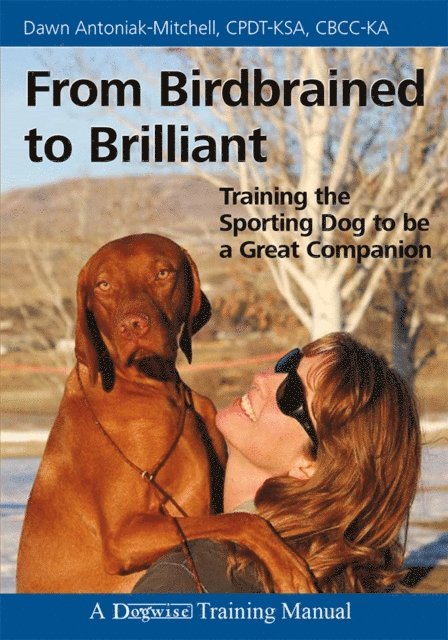 From Birdbrained To Brilliant