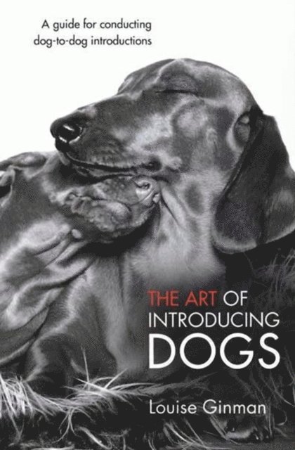 THE ART OF INTRODUCING DOGS