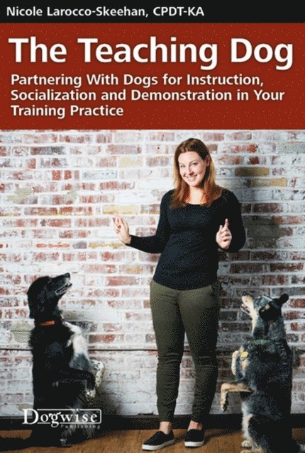 Teaching Dog