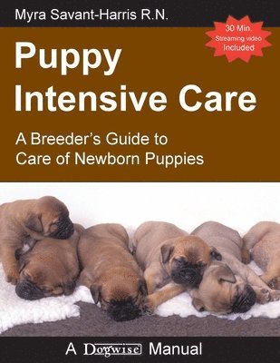 Myra Savant-Harris - Puppy Intensive Care, Häftad. Tillgänglighet: Lägg i varukorg
