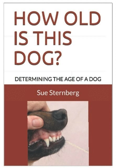How Old Is This Dog?