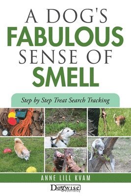 Anne Lill Kvam - Dog's Fabulous Sense of Smell, Häftad. Tillgänglighet: Lägg i varukorg