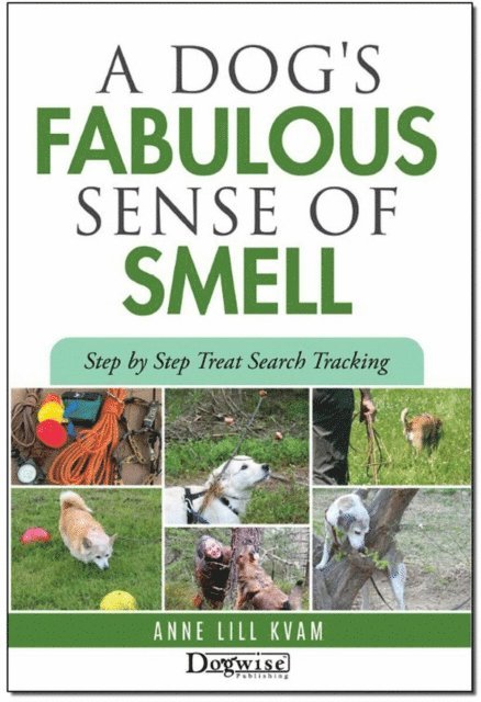 Anne  Lill Kvam - Dog's Fabulous Sense Of Smell, E-bok. Tillgänglighet: Lägg i varukorg