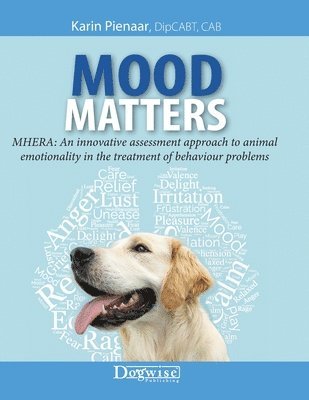 Karin Pienaar - Mood Matters - MHERA, Häftad